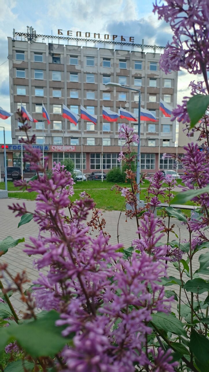 Гостиница Беломорье Кандалакша-108